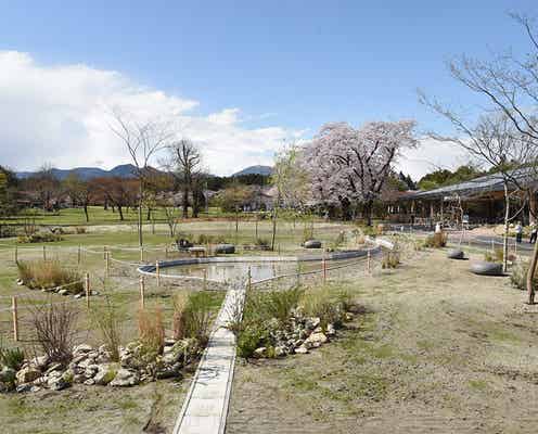 栃木「那須千本松牧場」“自然・食・ふれあい”楽しめる拠点に、リブランディングで魅力増進