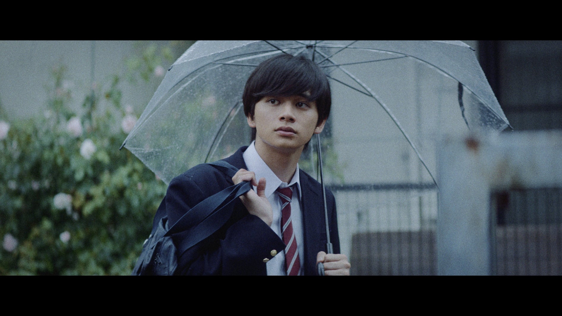 北村匠海（提供画像）