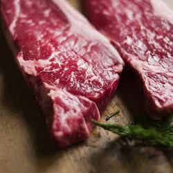 mokki ~stardust luxury glamping achi village~/提供画像