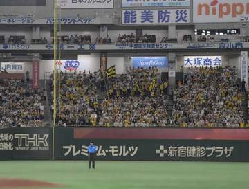 えっ！東京ドーム4階最後列に大物人気女子アナ 「今シーズンめちゃチケット取れない」自力で 巨人ファンとも「ハイタッチ」