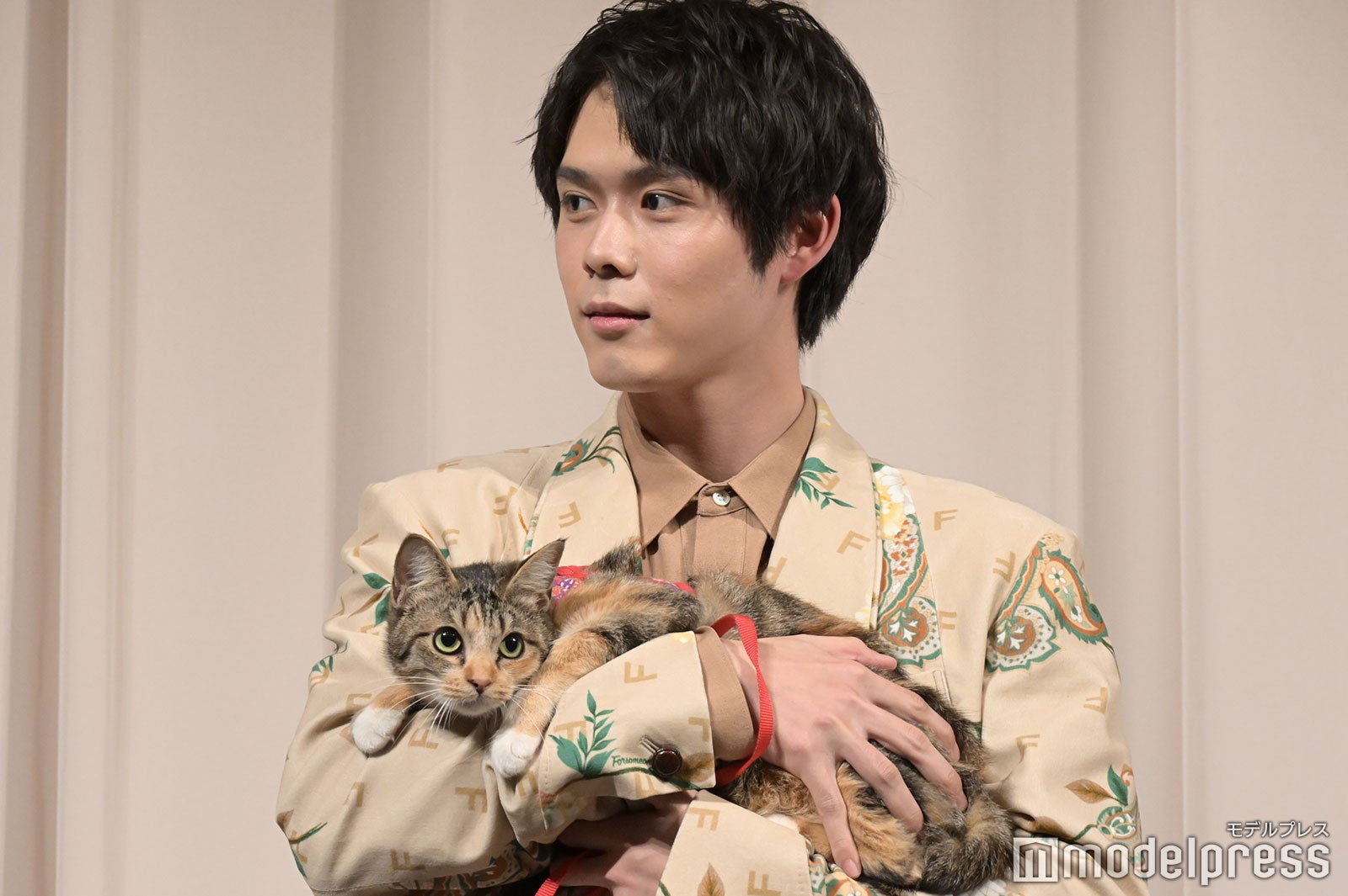 細田佳央太（C）モデルプレス