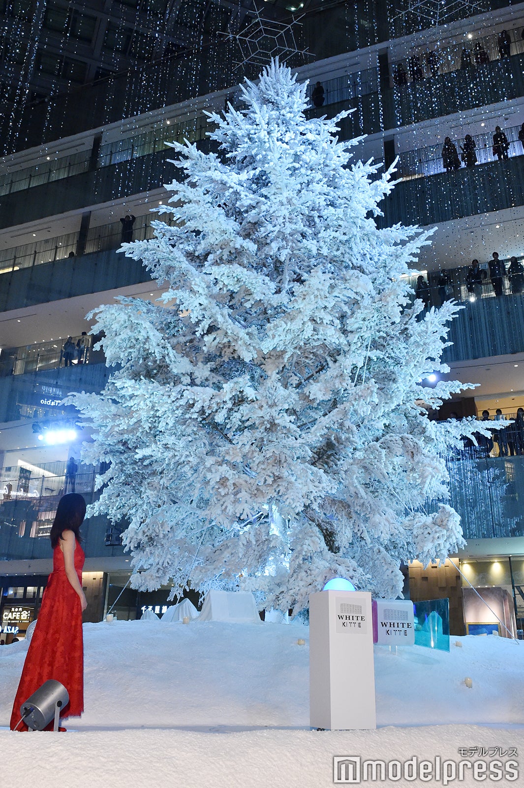 上戸彩（C）モデルプレス