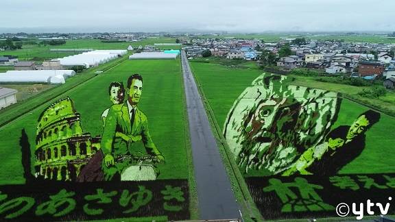 青森・田舎館村の「田んぼアート」が絶景すぎ!