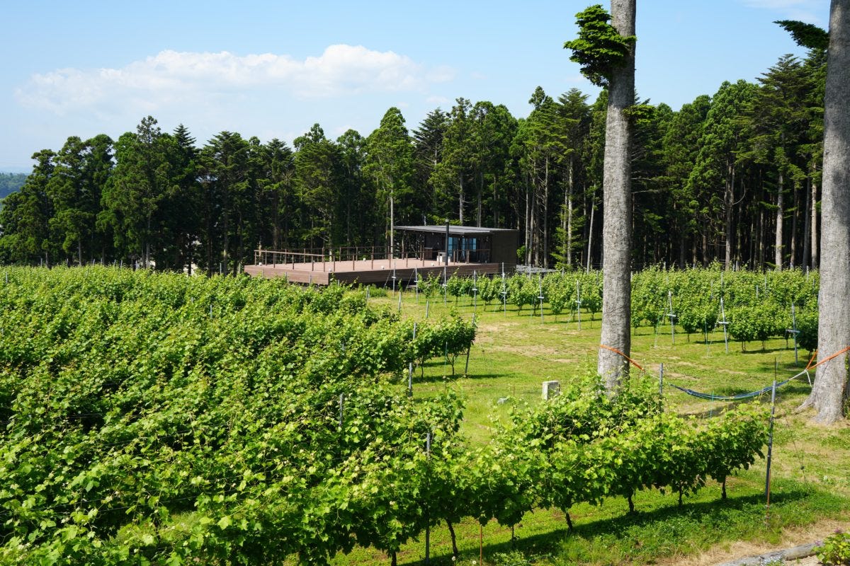 とみおかワインドメーヌ