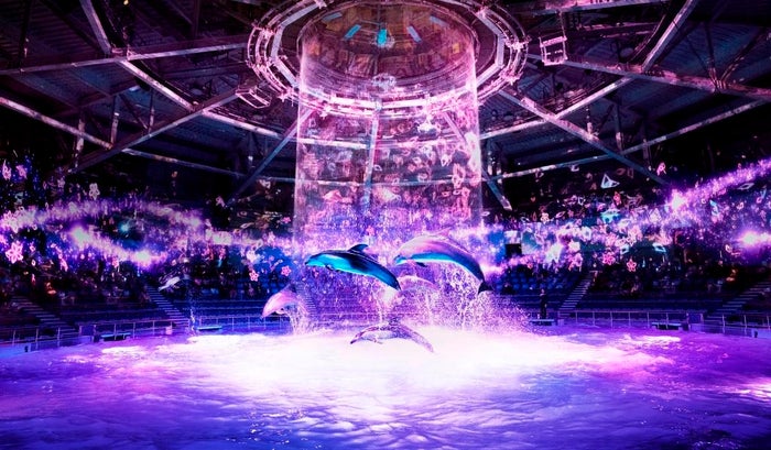 「桜語り」※イメージ／画像提供：横浜八景島