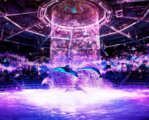 桜の海で花見体験「アクアパーク品川」デジタルアートで描き出す圧巻の桜景色