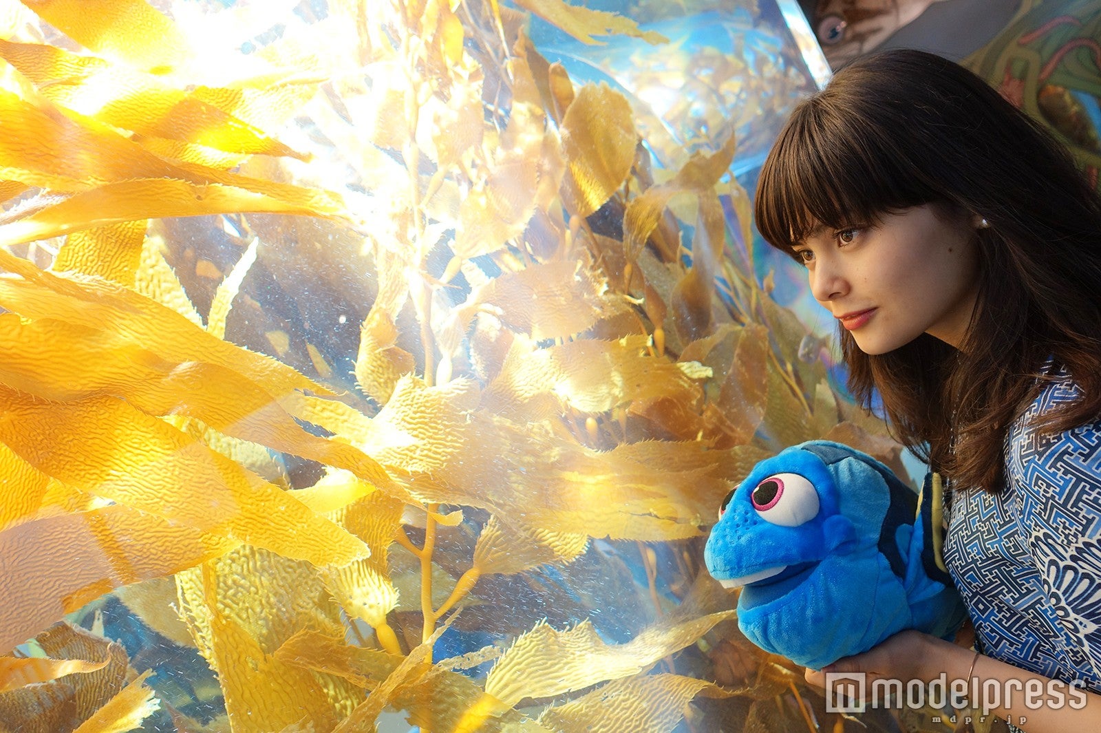 「モントレーベイ水族館」モデル：Amy（C）モデルプレス