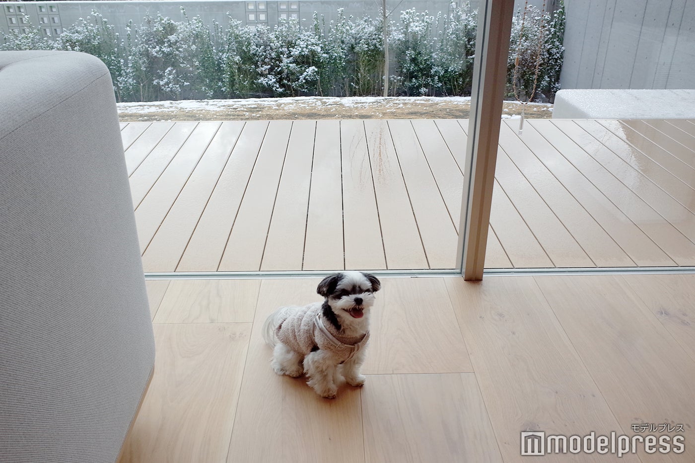 RETONA HAKONE（C）モデルプレス