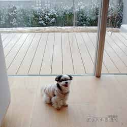 RETONA HAKONE(C)モデルプレス