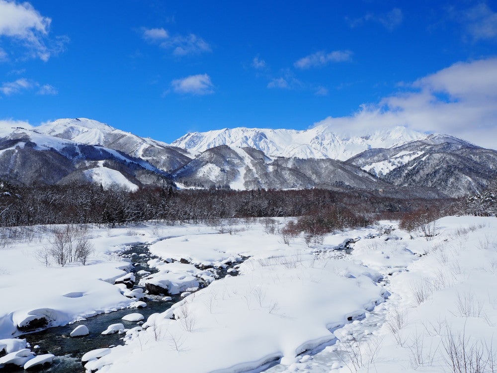 From P／画像提供：ぴー坊