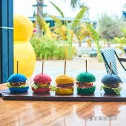 カラフルなバンズを使ったSNS映え確実のハンバーガー(C)モデルプレス