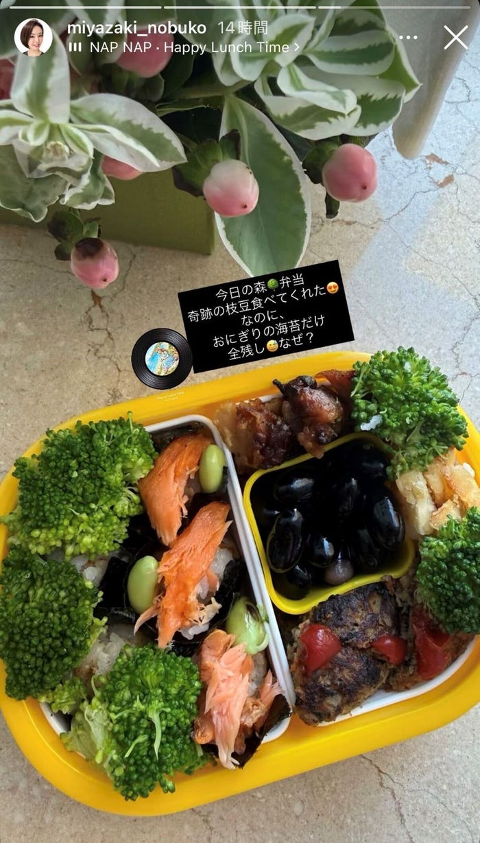 宮崎宣子Instagramストーリーズより