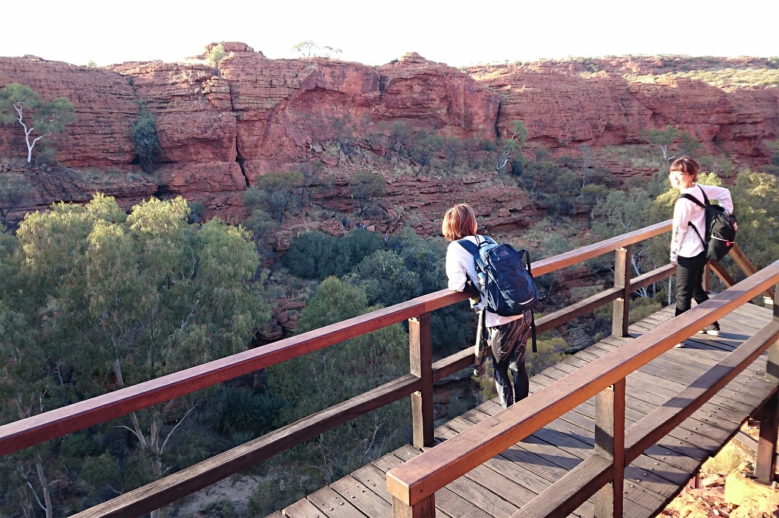 キングスキャニオン／画像提供：ノーザンテリトリー政府観光局