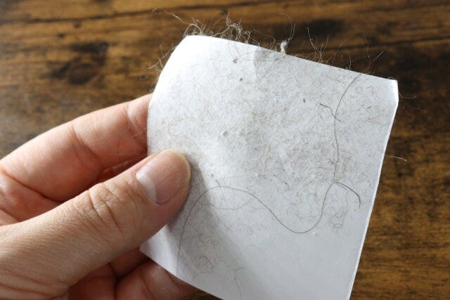 持ち運べる毛取りクリーナー　セリア　レビュー