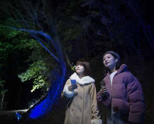 ムーミンバレーパーク、冬の森を冒険する夜限定イベント「アドベンチャーウォーク」物語の世界を体験