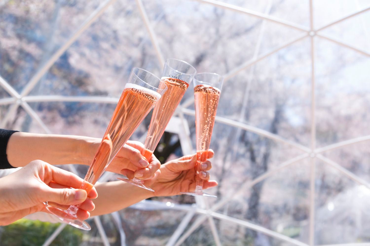 スパークリングワイン／画像提供：東京ミッドタウンマネジメント株式会社