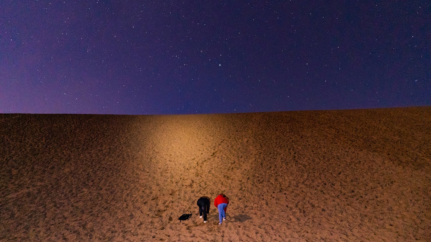 星空の下で夜の砂丘を散歩（提供写真）