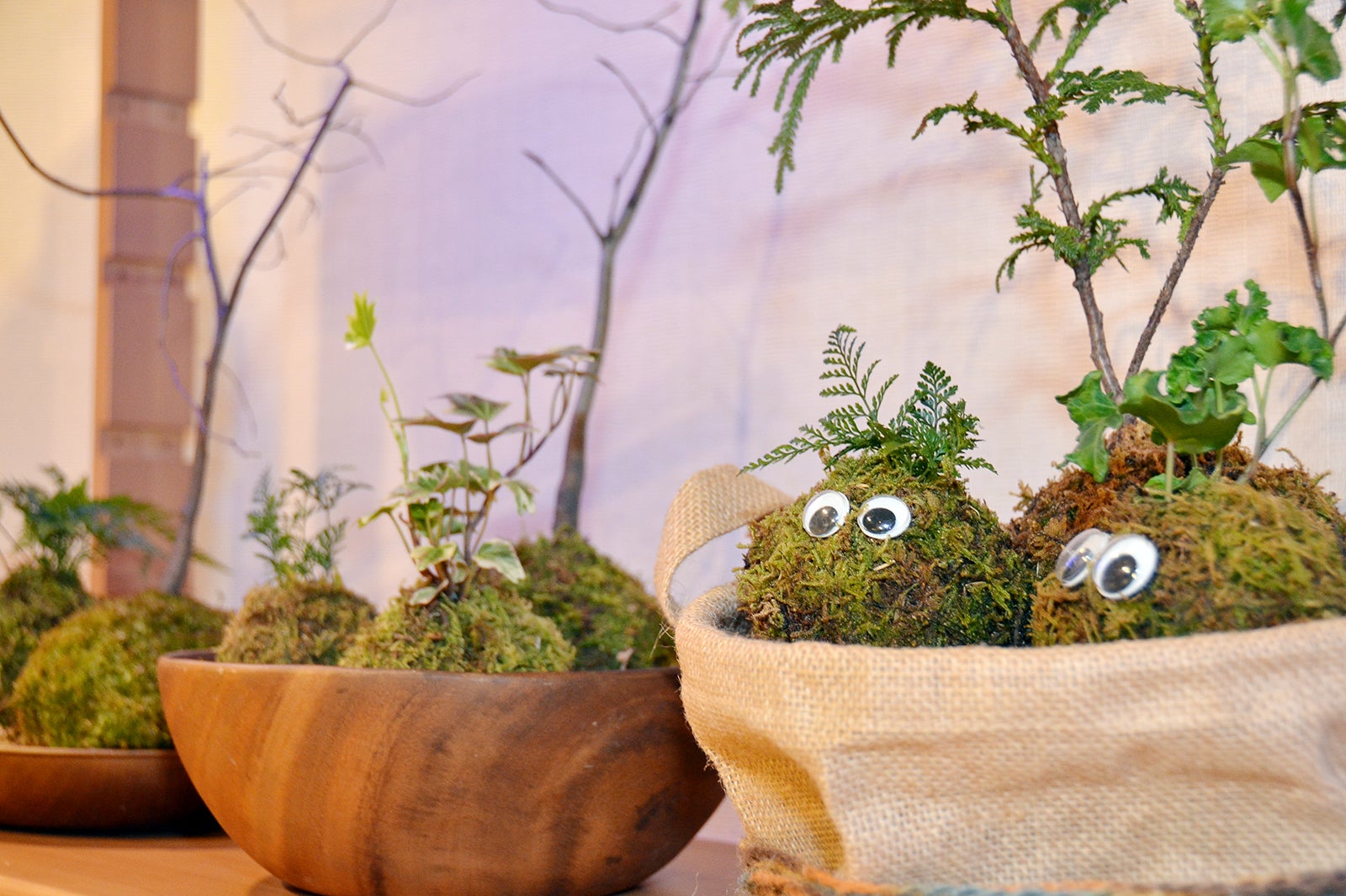 こけ玉作り体験2,500円（C）モデルプレス