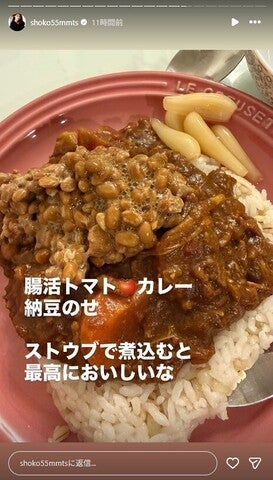 中川翔子Instagramストーリーズより