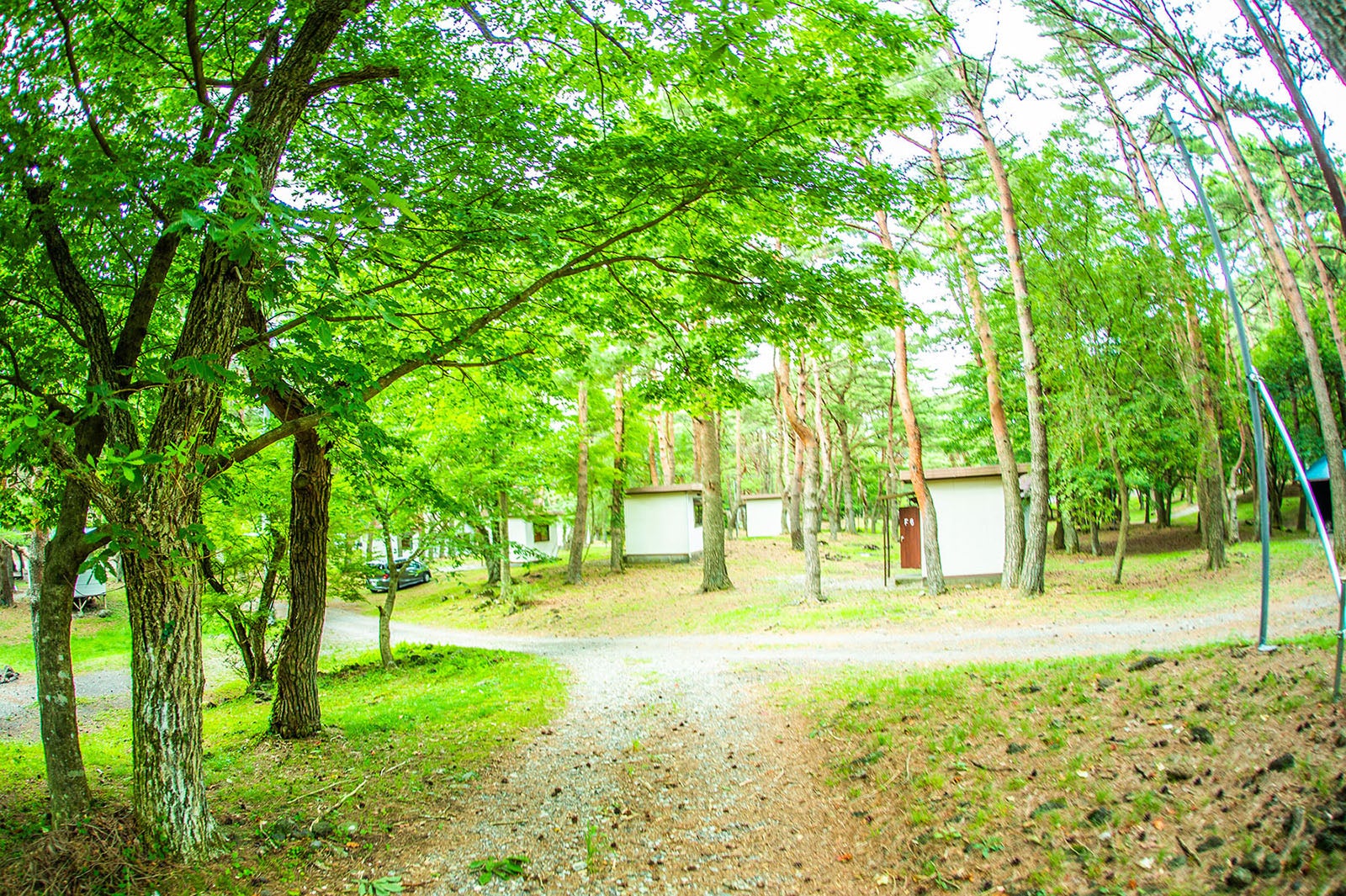「富士　湖畔の映画祭」昨年の様子／画像提供：湖畔の映画祭実行委員会