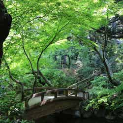 天気の良い日は庭園の散策をしてみましょう/提供:東京都庭園美術館