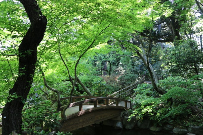 天気の良い日は庭園の散策をしてみましょう／提供：東京都庭園美術館