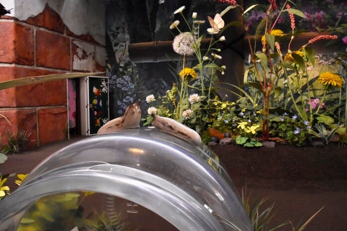 「床下の家と小人の庭」は『借りぐらしのアリエッティ』の小人の目線で部屋の中や庭へと入っていける（C）Studio Ghibli