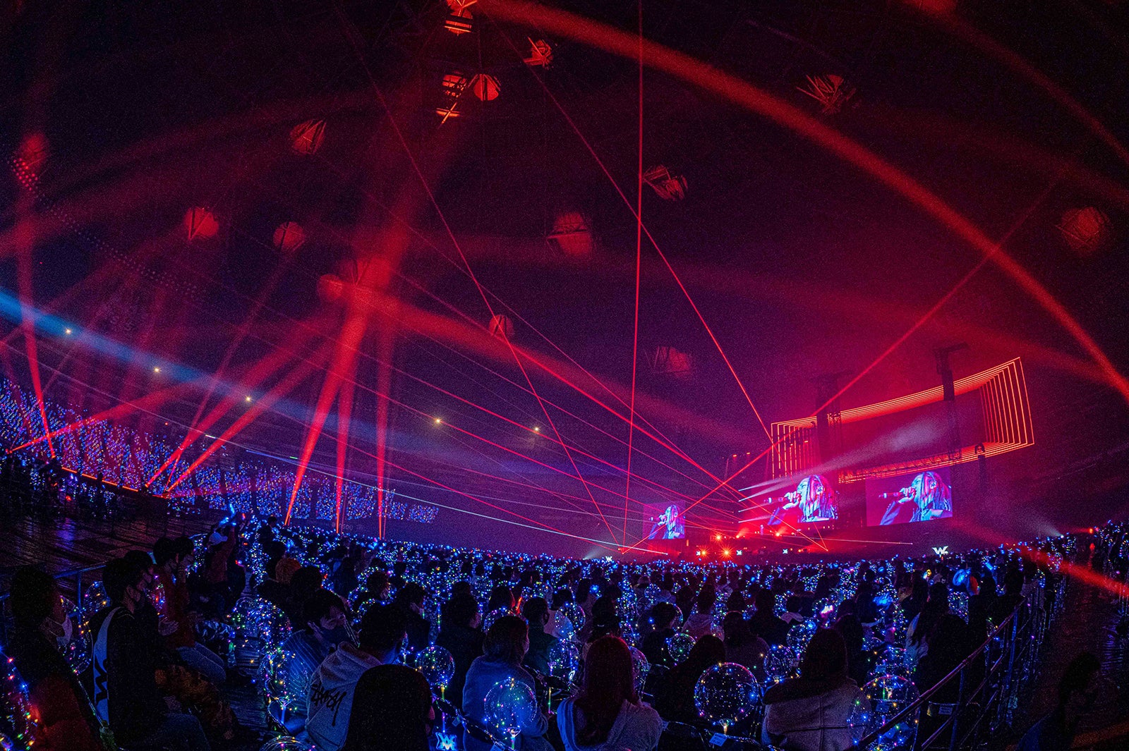 レペゼン地球（提供写真）