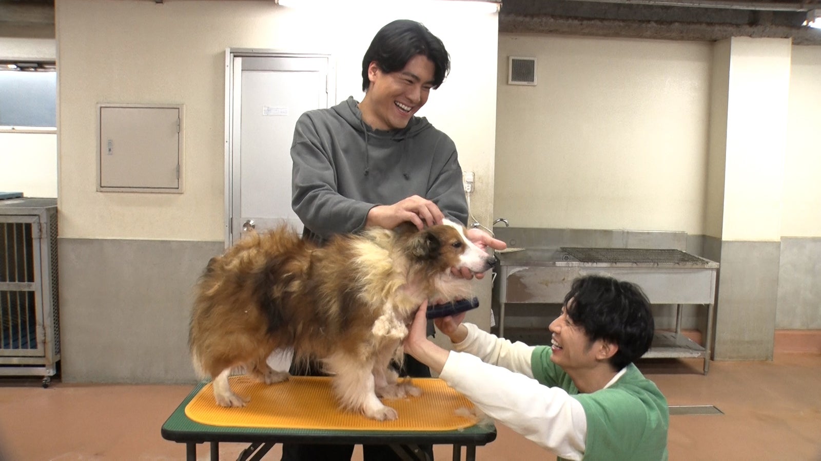 森本慎太郎、相葉雅紀（C）日本テレビ