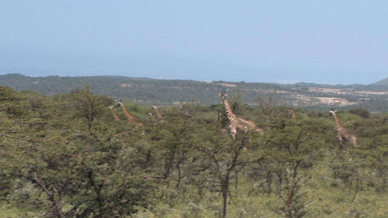 「あいのり：African Journey」第17話より（C）フジテレビ