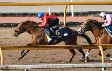 フェブラリーSから適用 レーティングによる選定枠拡大の真意とは JRAのハンデキャッパーを直撃