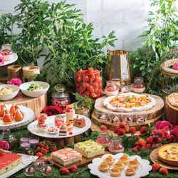 Very Very Berry/画像提供:フェニックスリゾート