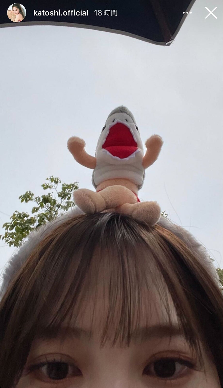 加藤史帆Instagramストーリーズより