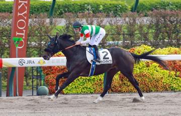 C・デムーロが今年の来日初勝利「楽な勝ち方だった」 JRA通算264勝目 天皇賞・秋ではクロワデュノールとコンビ