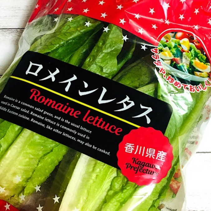 香川県産ロメインレタス