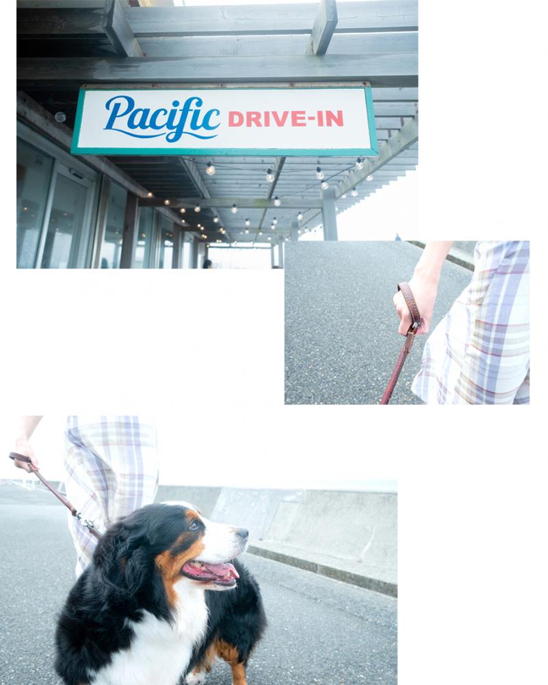 PacificDRIVE-IN 外観