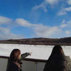 「KoKoNoKo」のツアーでは専門ガイドさんがタンチョウの生態を詳しく解説/提供画像