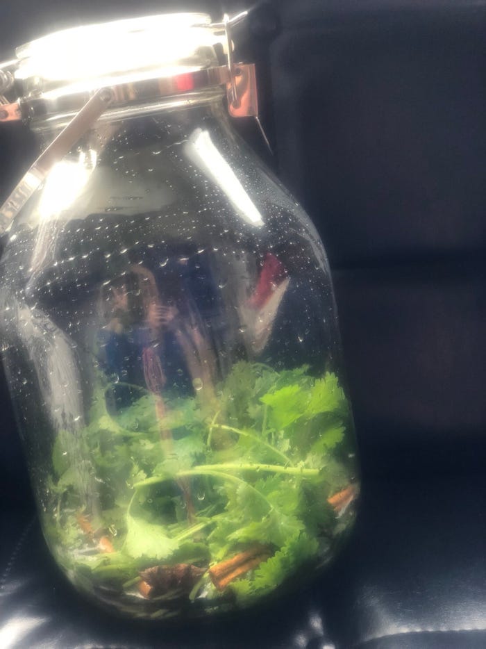 よ~く見てください(ピース!)