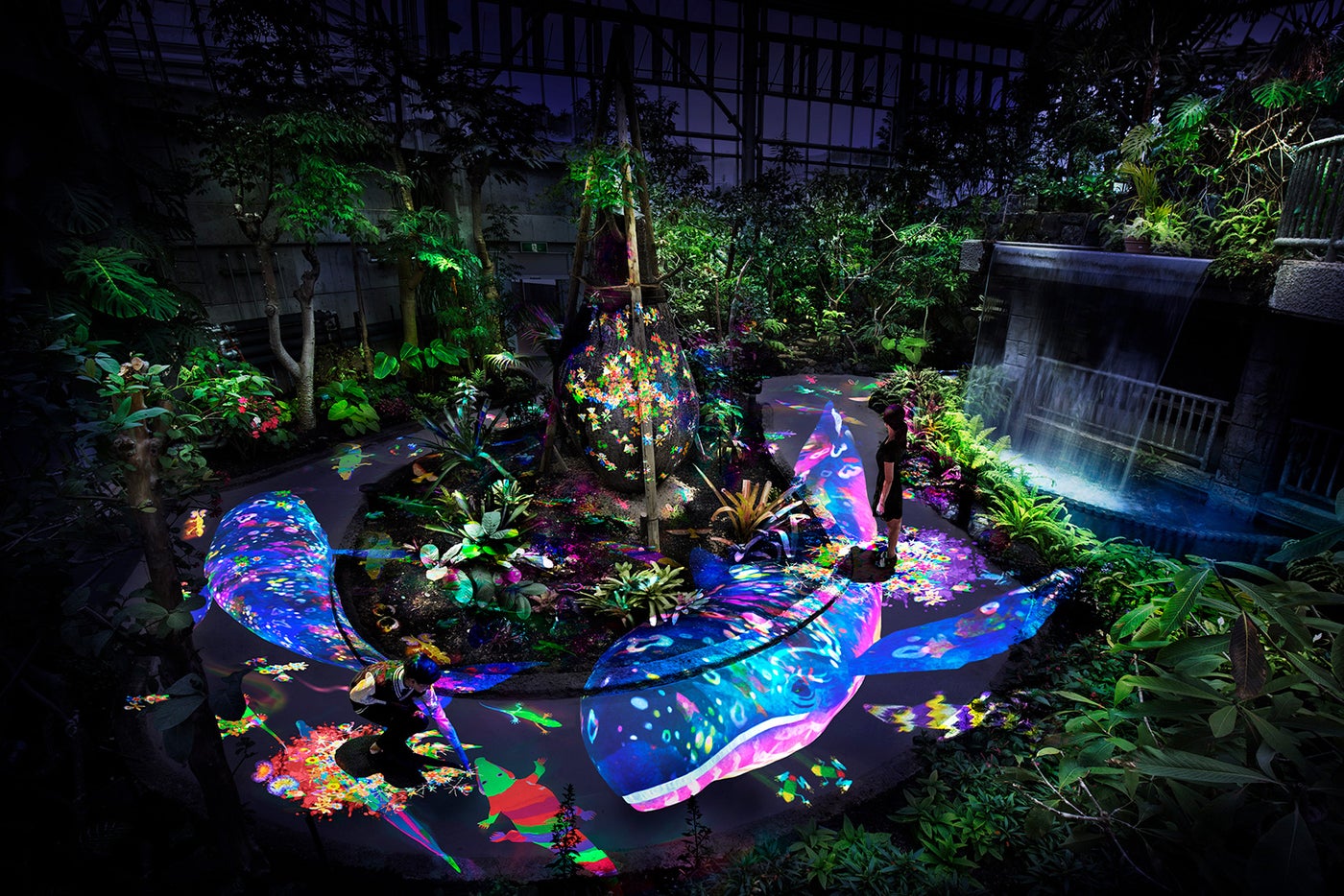 夜の植物館が幻想的なアート空間に　生き物が住む世界が鮮やかに描かれる／画像提供：チームラボ