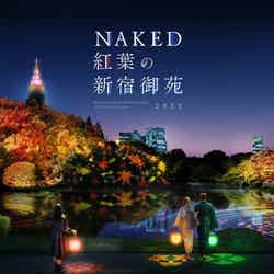 NAKED紅葉の新宿御苑2023/画像提供:ネイキッド