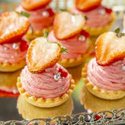 Strawberry Fairy Garden/提供画像