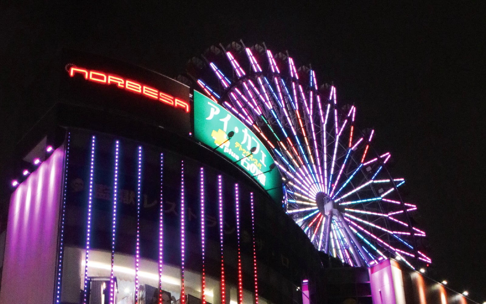 ノリア／提供画像