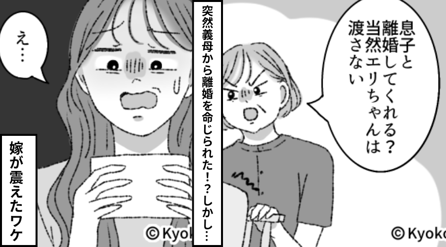 「息子と離婚して。孫は渡さない。」義母から突然の申し出！？しかし⇒見せられた【1枚の写真】に嫁が”震えた”ワケ