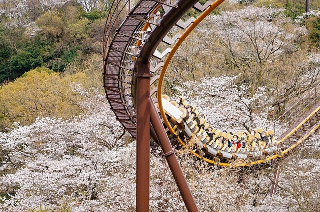 画像提供：よみうりランド