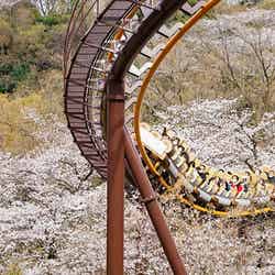 画像提供:よみうりランド