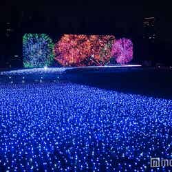 イルミネーションによる花火で毎晩「日本の夏」が楽しめるサマーライトガーデン（昨年の様子）／画像提供：東京ミッドタウンマネジメント