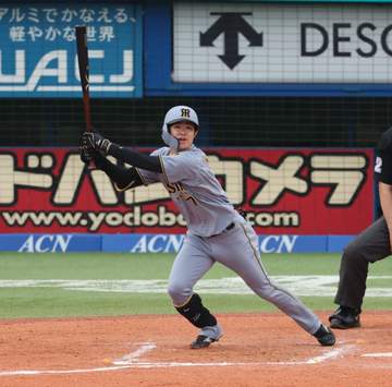阪神 前夜負傷交代の中野が代打で登場 中飛も虎党は大歓声 連続試合出場は継続で487試合に