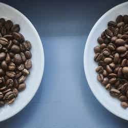 アッシュ/提供画像