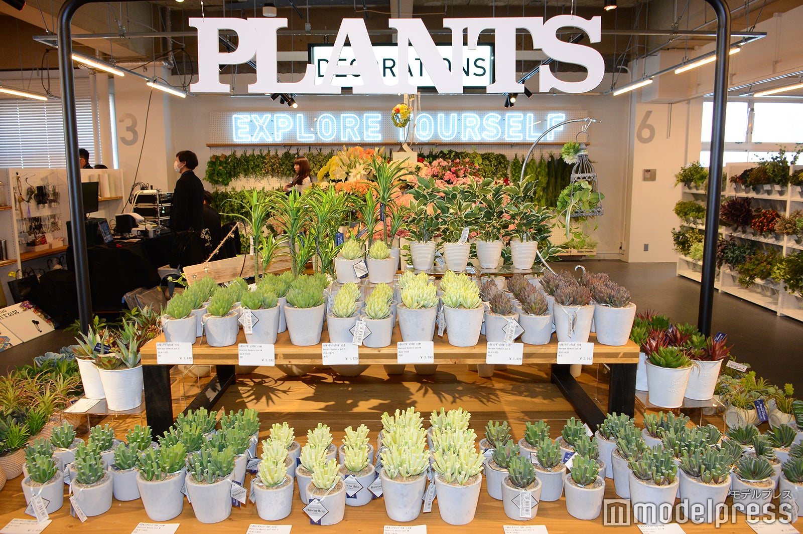 MONOTORY（C）モデルプレス