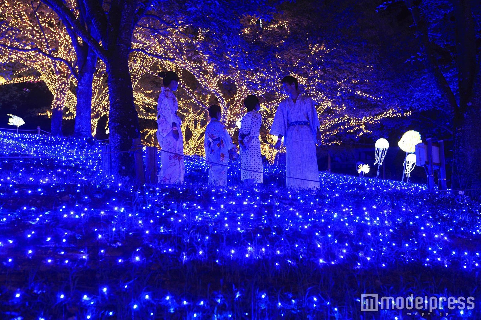 納涼イルミリオン／画像提供：富士急行